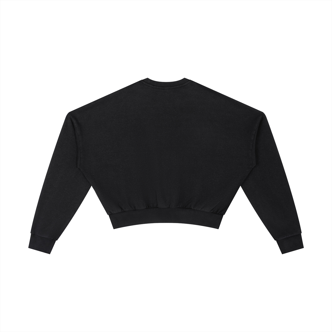 Mosaic Turtles Crop Sweatshirt